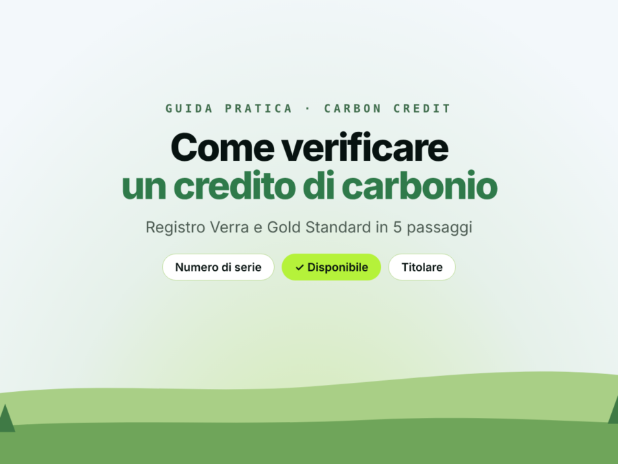 Come verificare un credito di carbonio sul registro