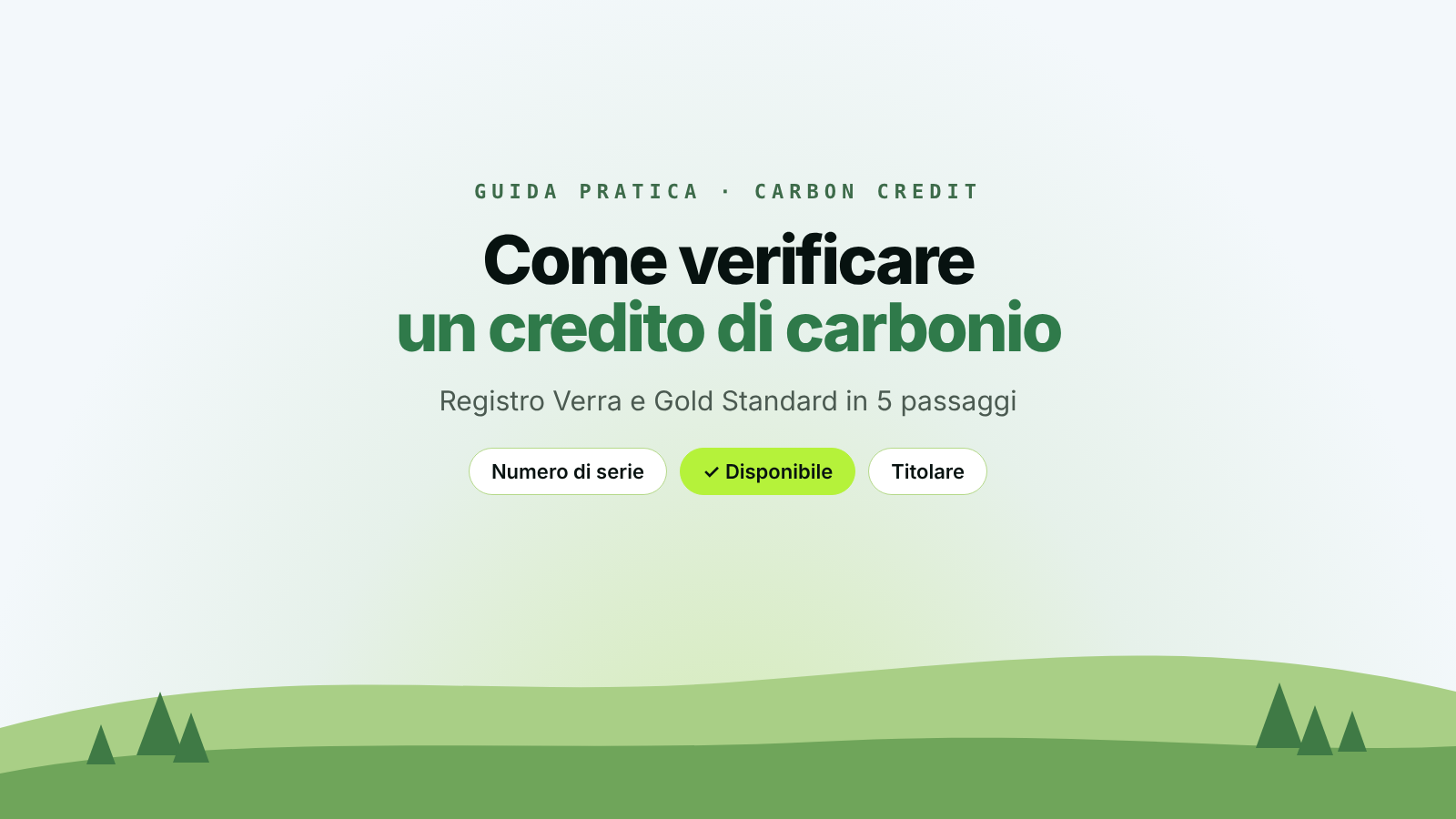 Come verificare un credito di carbonio sul registro